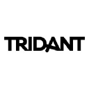 Tridant logo